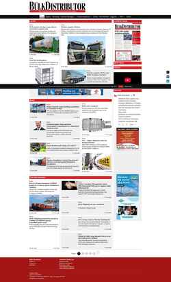 Screenshot bulk-distributor.com