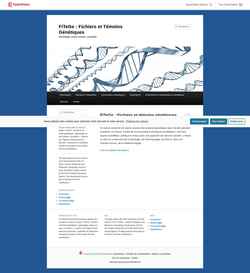 Screenshot fitege.hypotheses.org