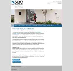 Screenshot sibocenter.com
