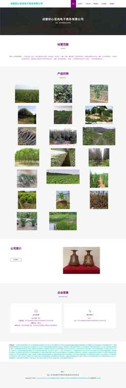 Screenshot m.jiangxin520.com