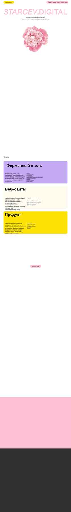Screenshot starcevdigital.com