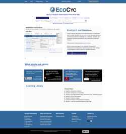 Zrzut ekranu ecocyc.org
