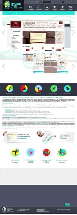 Screenshot www.stwebmaster.ru