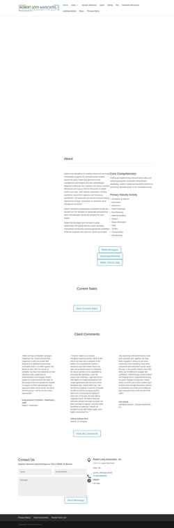 Screenshot rlevyinc.com