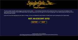 Captura de pantalla spieglergirls.com