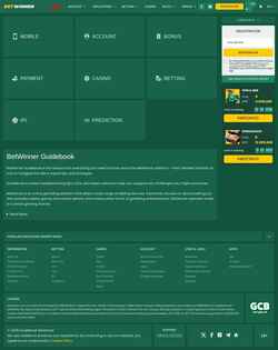 Skjermdump guidebook.betwinner.com