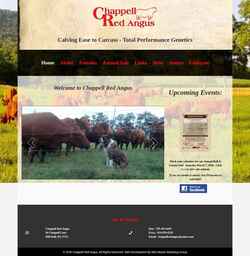 Screenshot chappellredangus.com