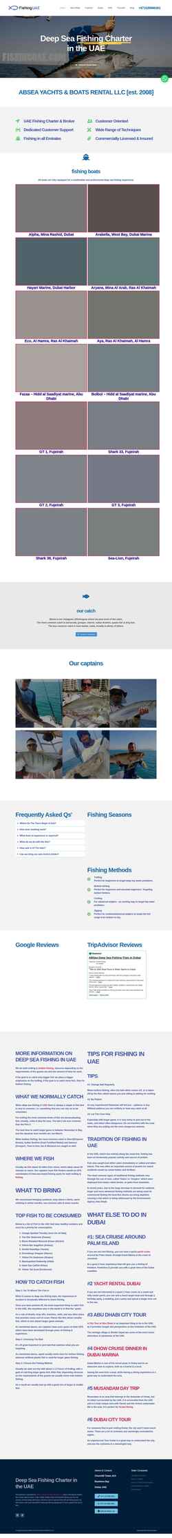 Screenshot fishinguae.com