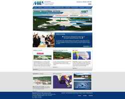 Screenshot www.daweiindustrialestate.com