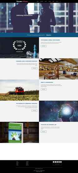 Screenshot vicentellp.com