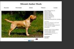 Ekraanipilt ambermark.narod.ru