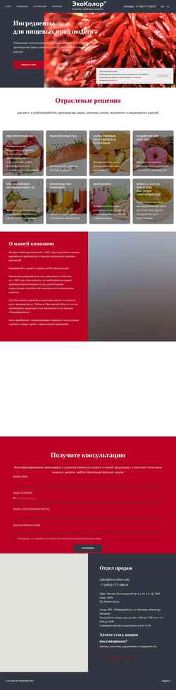 Schermata ecocolor.com