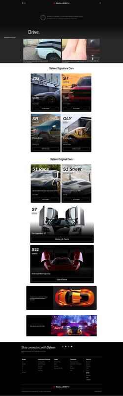 Captura de pantalla saleen.com