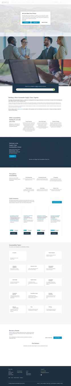 Скриншот www.supplychainschool.com