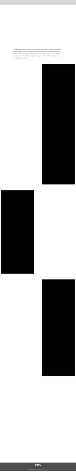 Screenshot elementumav.com
