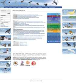 Captura de pantalla rbcu.ru