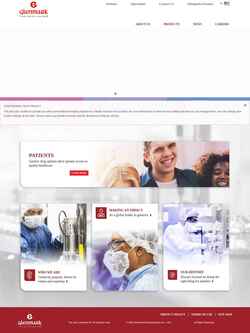 Screenshot glenmarkpharma-us.com