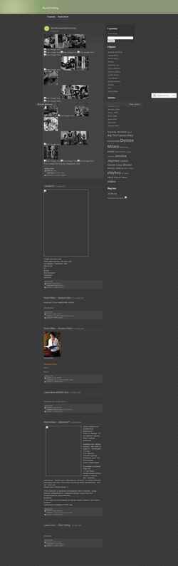 Screenshot ruvid.wordpress.com