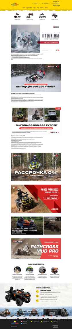 Zrzut ekranu dianasport.ru