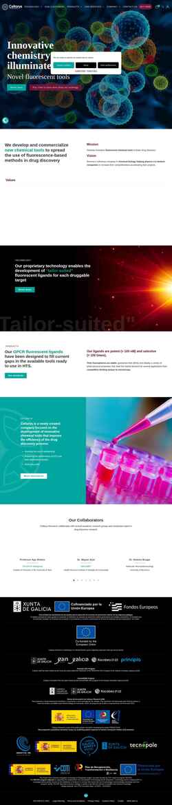 Screenshot www.celtarys.com