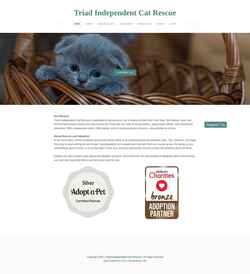 Screenshot www.triadcat.org