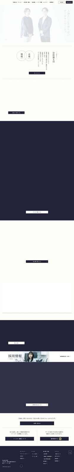 Screenshot analytics-jp.com