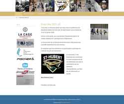 Screenshot festijets.ca