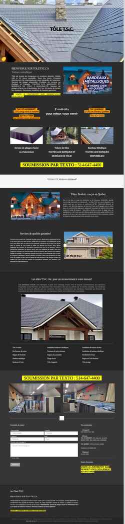 Screenshot www.toletsc.ca