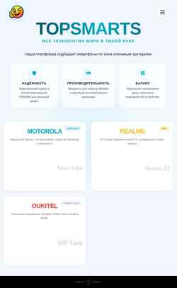 Screenshot topsmarts.ru