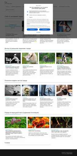 Screenshot big.org.ua