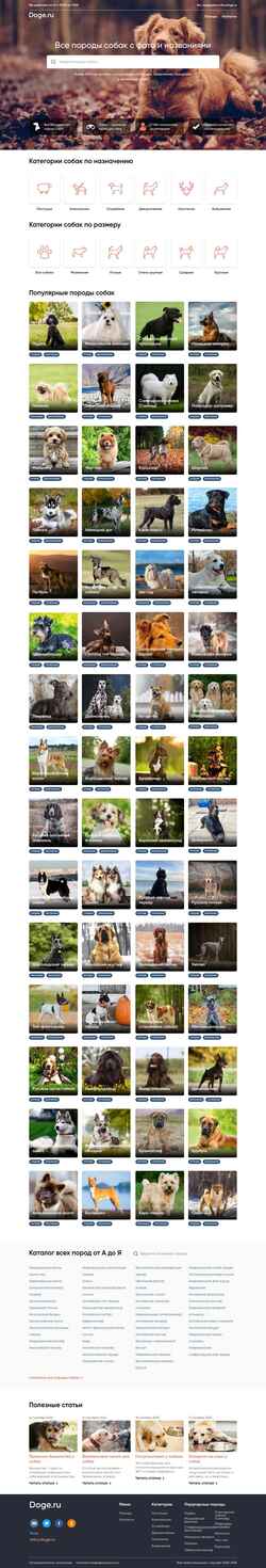 Capture d'écran doge.ru