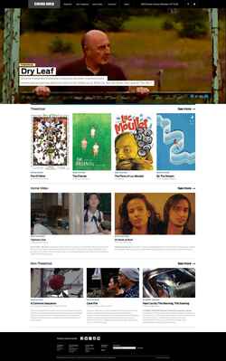 Screenshot cinemaguild.com