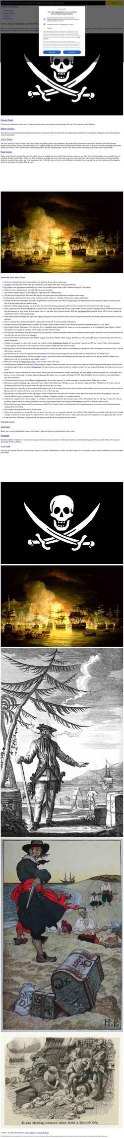 Skærmbillede www.thewayofthepirates.com