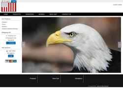 Screenshot asnsecure.com