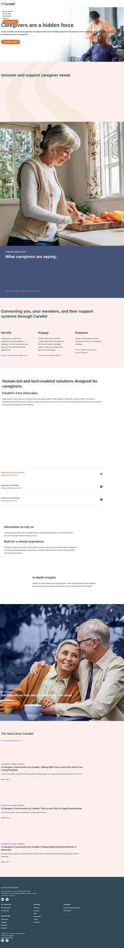 Screenshot carallel.com