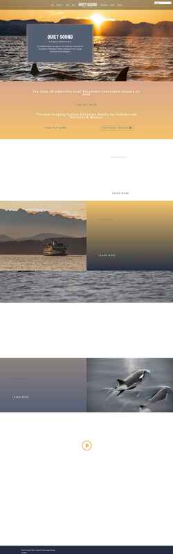 Screenshot quietsound.org