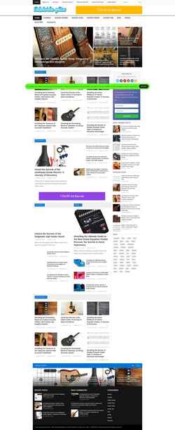 Screenshot finkelstein-guitar.com