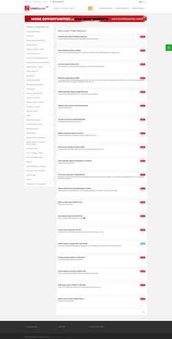 Schermata turkishexporter.net