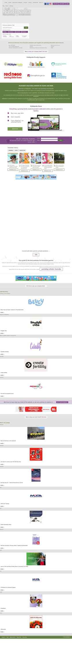 Скриншот kiddipedia.com.au