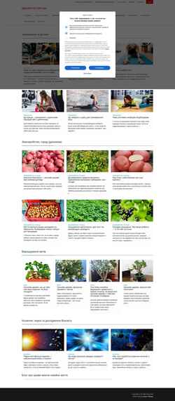 Screenshot ipsystems.com.ua