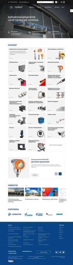 Schermata rizur.ru