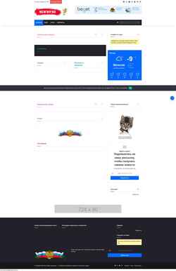 Screenshot newwp.ru