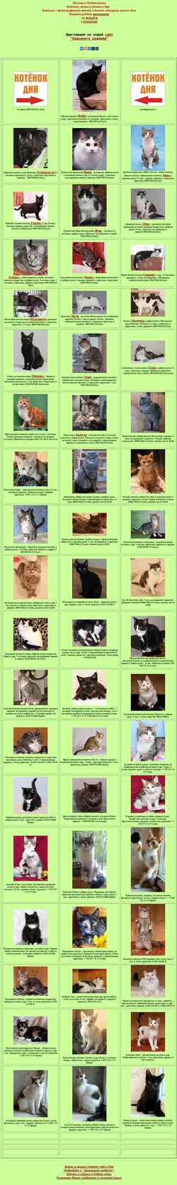 Screenshot roddomcat.narod.ru