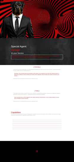 Screenshot moyo9.com
