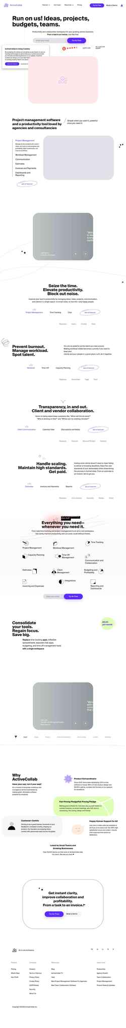 Screenshot activecollab.com