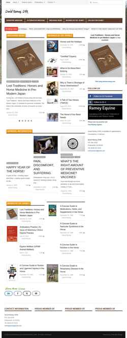 Screenshot www.doctorramey.com