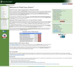 Screenshot www.theftclassonline.com
