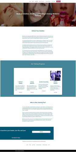 Screenshot appliedenergeticsinstitute.com