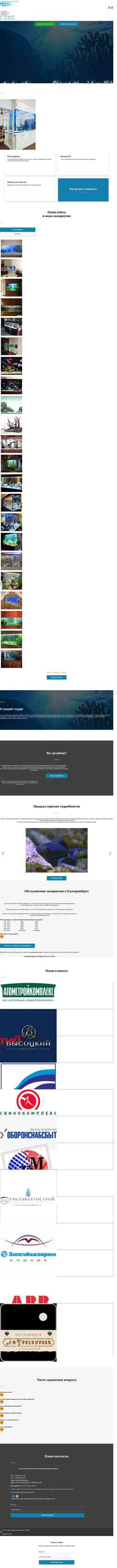 Screenshot studionemo.ru