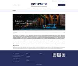 Snímek obrazovky piteravto.ru